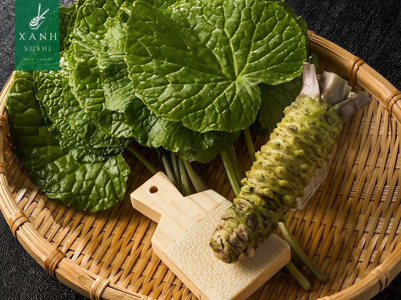 Hành trình của cây wasabi