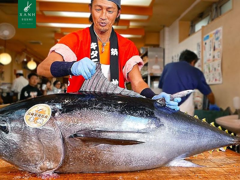Các ngừ Sashimi