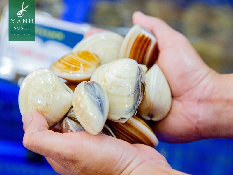 Ngao đỏ có phải nghêu không?