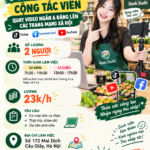 tuyển nhân viên quay video ngắn đăng lên mạng xã hội
